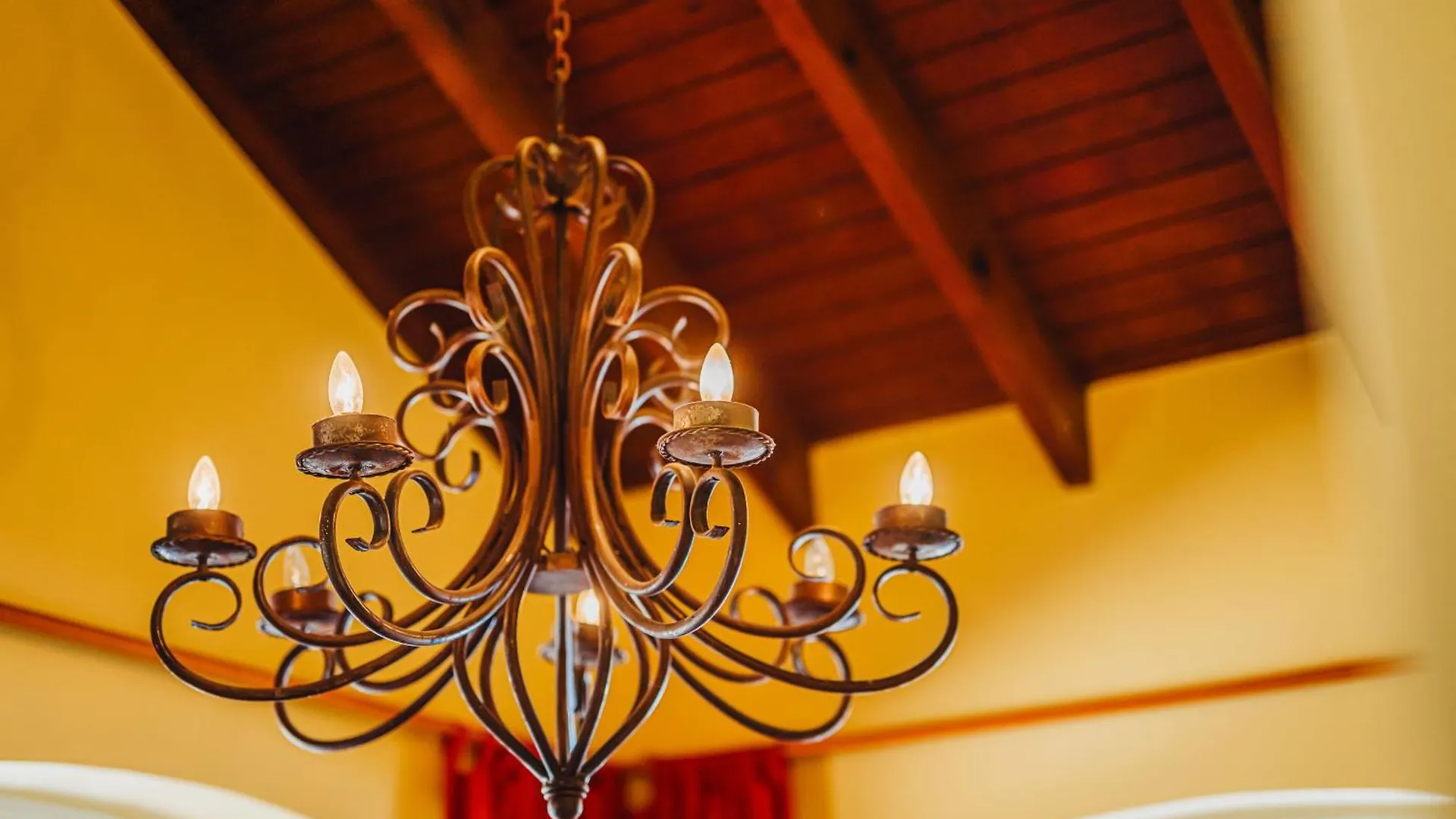 Aruba Dreams Villa Palm Beach